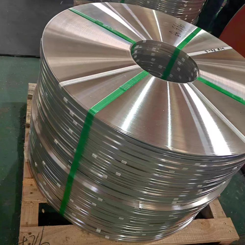 Stainless Spring Steel Strips