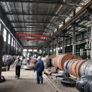 Spring & Wear Steel Strip